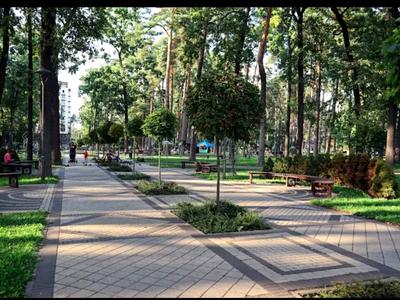 квартира за адресою Ірпінь, Полтавська вул., 27-Д