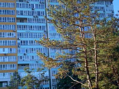 квартира по адресу Соснова, 9