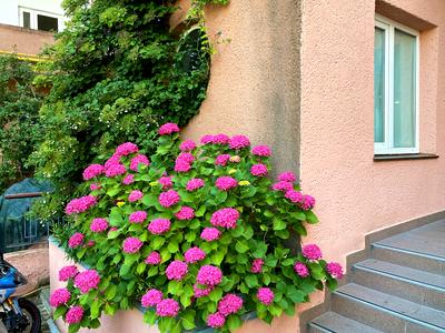 квартира за адресою Шампанський пров., 9