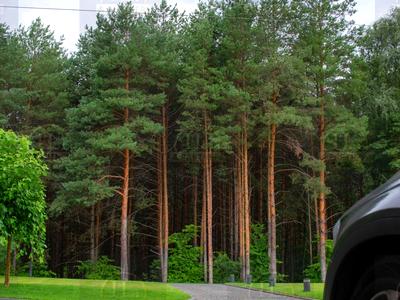 будинок за адресою Петра Сагайдачного