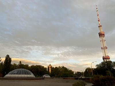 квартира за адресою Олени Теліги вул., 25
