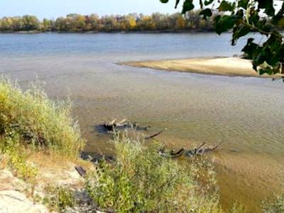 участок по адресу с. Низшая Дубечня, 