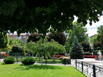 квартира по адресу Тепличная ул., 48