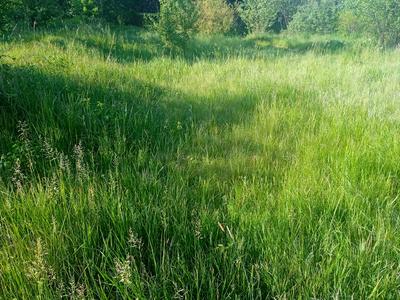 участок по адресу урочище Мочар
