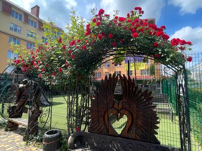 квартира по адресу Затишна, 4