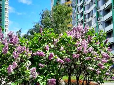 квартира за адресою Вишгородська вул., 45Б/1