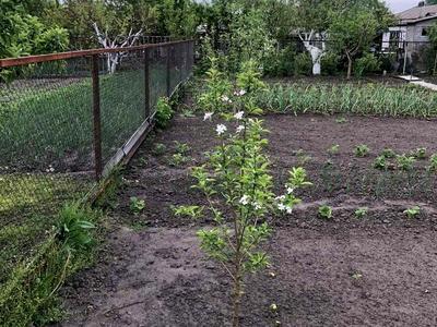 будинок за адресою Бобринецький Шлях вул.