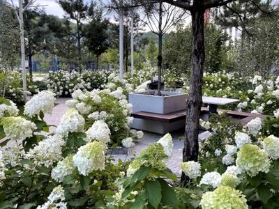 квартира за адресою Столичне шосе, 1