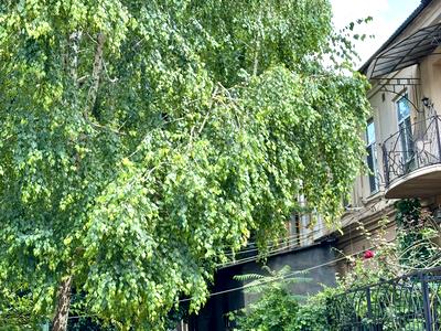 квартира за адресою Михайлівська вул., 21