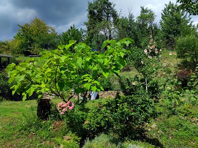 будинок за адресою с. Сусково, Нове село