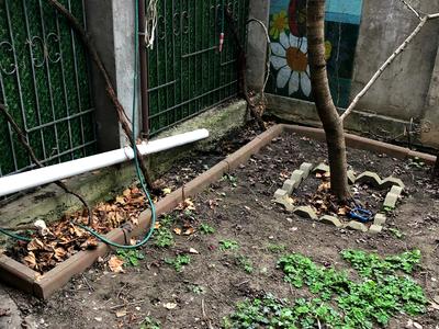 квартира по адресу Дача Ковалевского ул., 101А
