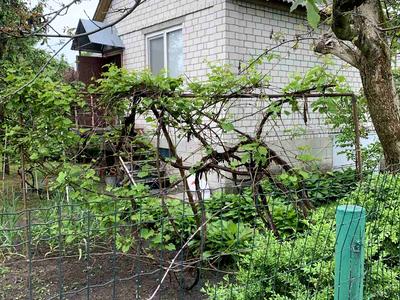 будинок за адресою Южная, 3