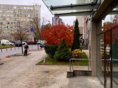 комерційна за адресою Саперне Поле вул., 3