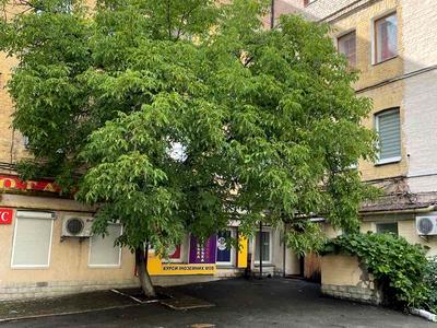 коммерческая по адресу Украинских Героев пл. (Льва Толстого), 3