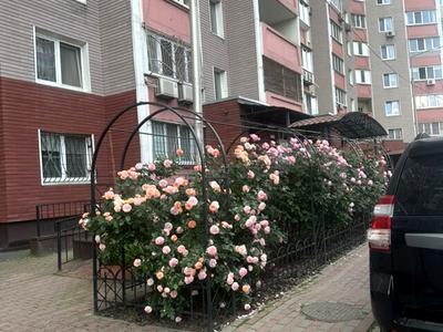 квартира по адресу Петра Григоренко просп., 14