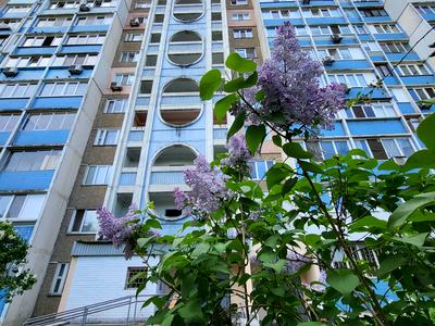 квартира за адресою Архітектора Ніколаєва вул., 9-А