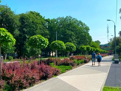 квартира за адресою Джохара Дудаєва вул. (Іскрівська), 7