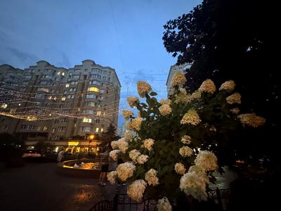 квартира за адресою Лесі Українки вул., 20