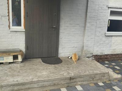 дом по адресу Заречная ул.