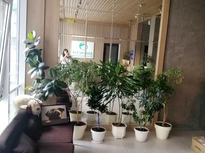 квартира по адресу Митрополита Василия Липковского ул. (Урицкого), 37-В