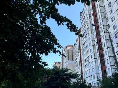 квартира за адресою Оноре де Бальзака вул., 8