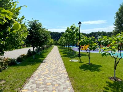 дом по адресу Юліанська, 55