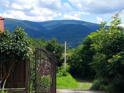 будинок за адресою с. Сусково, Нове село