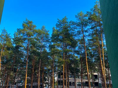 квартира за адресою Мисливська вул., 6