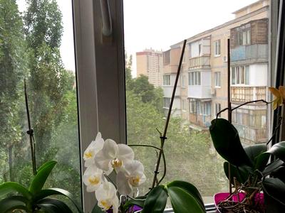 квартира за адресою Ушинського вул., 24