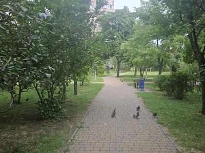 квартира за адресою Миколи Закревського вул., 33