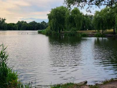 квартира за адресою Верховинна вул., 87