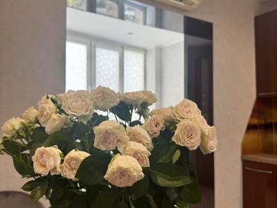 квартира за адресою Вишгородська вул., 45
