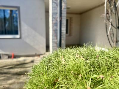 будинок за адресою Отамана Орлика вул., 18Ж