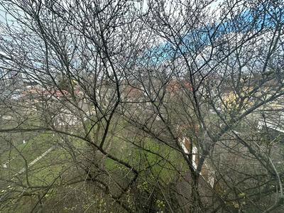 квартира за адресою Василіянок вул., 60б