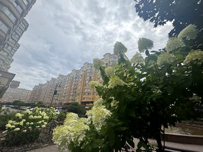 квартира за адресою Лесі Українки вул., 20