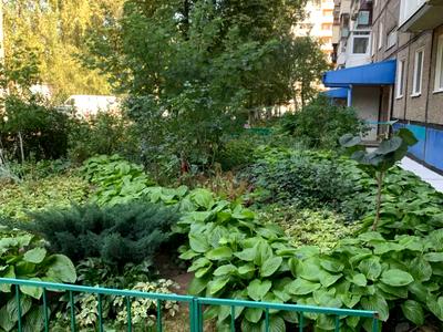 квартира за адресою Калинова вул., 76