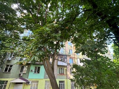 квартира по адресу Кловский спуск, 4