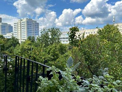 квартира по адресу Вацлава Гавела бульв. (Івана Лепсе), 7