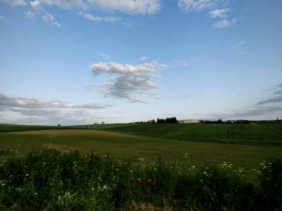 ділянка за адресою с. Поршна, Шевченка