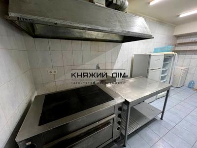 комерційна за адресою Гетьмана Кирила Розумовського вул. (Миколи Краснова), 17