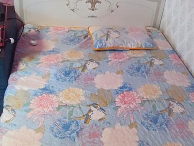 квартира по адресу Генерала Петрова ул., 40