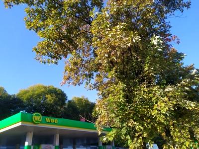 ділянка за адресою Валерія Лобановського просп. (Червонозоряний)