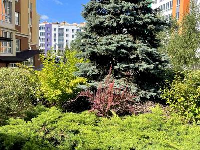 квартира за адресою с. Софіївська борщагівка, Соборна, 126/21