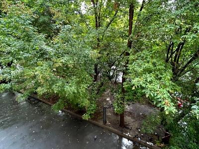 квартира за адресою Генерала Алмазова вул. (Кутузова), 9