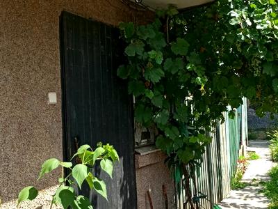 дом по адресу Тургенева ул., 14
