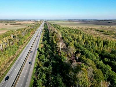 ділянка за адресою с. Ставище, 