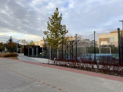 будинок за адресою Дружня, 6
