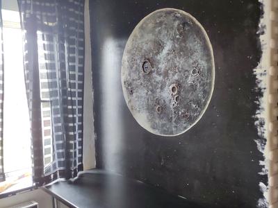 квартира по адресу Балтская дорога ул., 8
