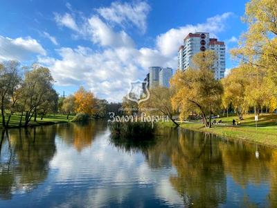 квартира по адресу Червоной Калины просп. (Владимира Маяковского), 5-А