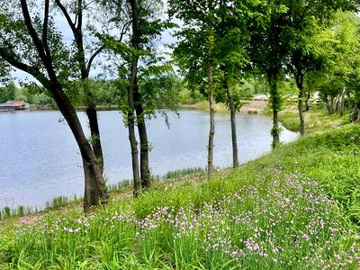 квартира за адресою Оболонський просп., 23-А